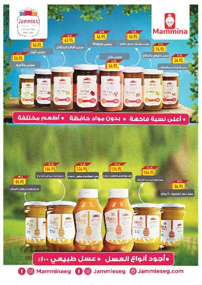 العروض الاسبوعيه من اوسكار 31