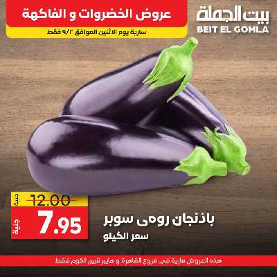 عرض اليوم فقط من بيت الجمله 11