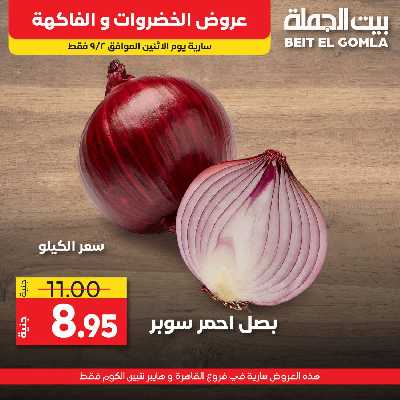 عرض اليوم فقط من بيت الجمله 12