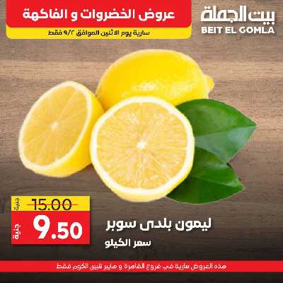 عرض اليوم فقط من بيت الجمله 13
