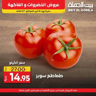 عرض اليوم فقط من بيت الجمله 14