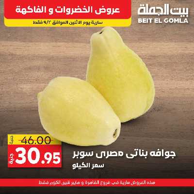 عرض اليوم فقط من بيت الجمله 2