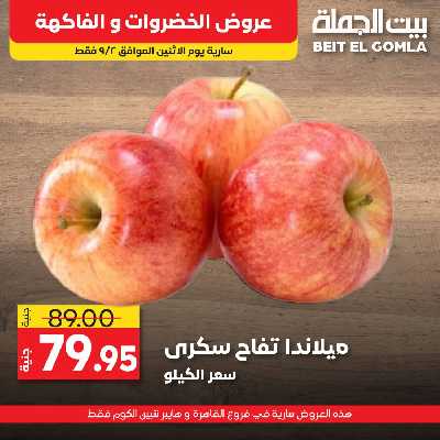عرض اليوم فقط من بيت الجمله 3