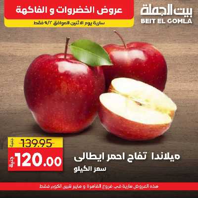 عرض اليوم فقط من بيت الجمله 4