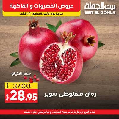 عرض اليوم فقط من بيت الجمله 5
