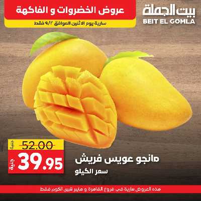 عرض اليوم فقط من بيت الجمله 6