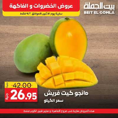 عرض اليوم فقط من بيت الجمله 7