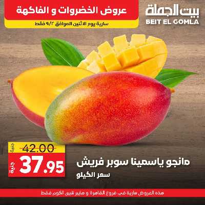 عرض اليوم فقط من بيت الجمله 8