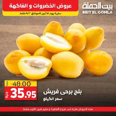 عرض اليوم فقط من بيت الجمله 9
