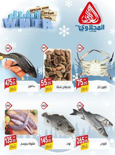 عروض الجملة من المحلاوى 10