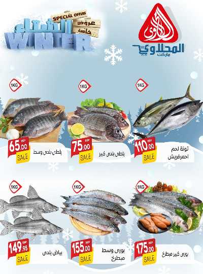 عروض الجملة من المحلاوى 11