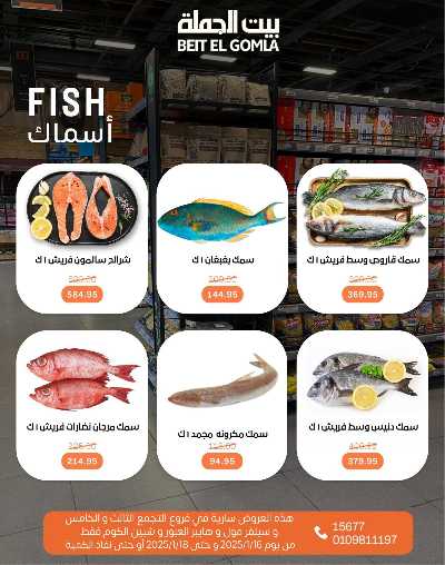 عروض الويك اند من بيت الجمله 10