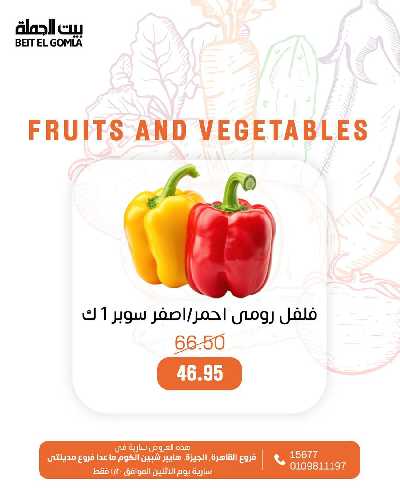 عروض الاثنين من بيت الجمله - عدا فروع مدينتى 15