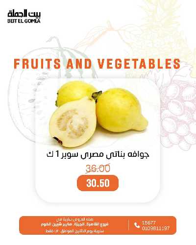 عروض الاثنين من بيت الجمله - عدا فروع مدينتى 3