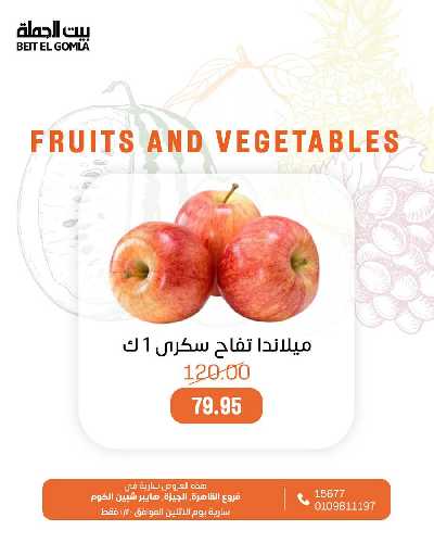 عروض الاثنين من بيت الجمله - عدا فروع مدينتى 8