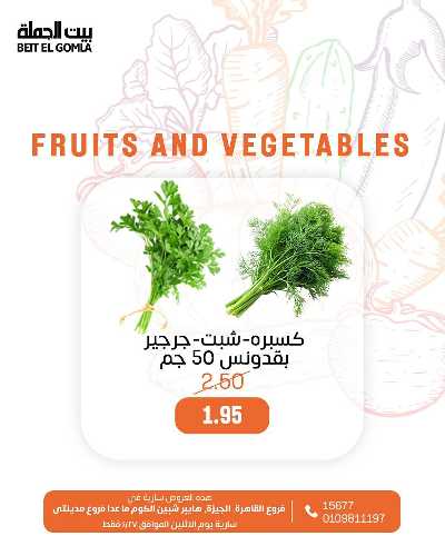 عروض الاثنين من بيت الجمله - عدا فروع مدينتى 19