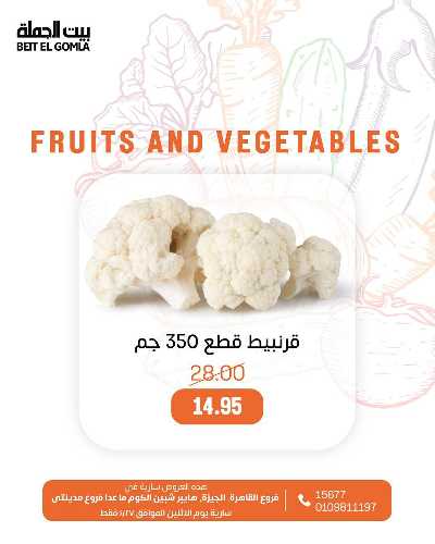 عروض الاثنين من بيت الجمله - عدا فروع مدينتى 24