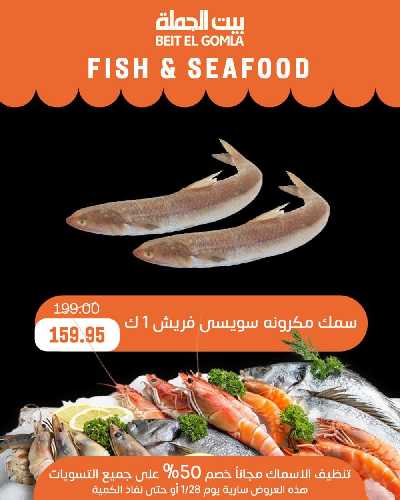 عروض الاسماك من بيت الجمله 9