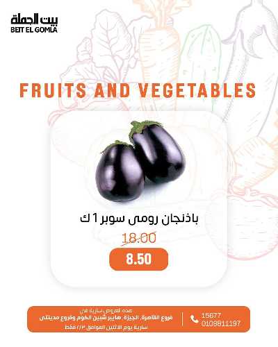 عروض الاثنين من بيت الجمله - عدا فروع مدينتى 19