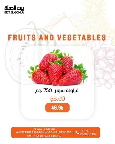 عروض الاثنين من بيت الجمله - عدا فروع مدينتى 2