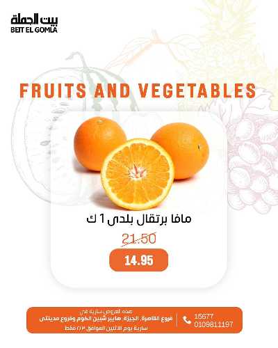 عروض الاثنين من بيت الجمله - عدا فروع مدينتى 7