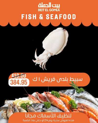 عروض الاسماك من بيت الجمله 5