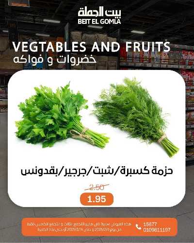  عروض الافتتاح من بيت الجمله - التجمع الثالث 11