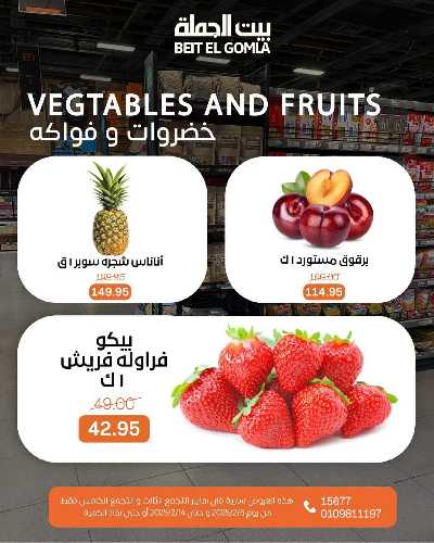 عروض الافتتاح من بيت الجمله - التجمع الثالث 17