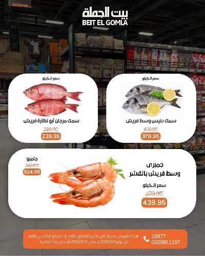  عروض الافتتاح من بيت الجمله - التجمع الثالث 22