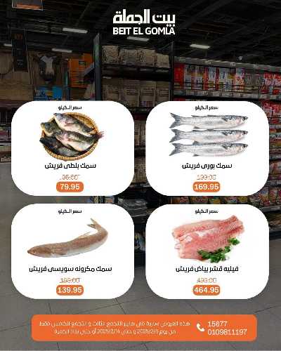  عروض الافتتاح من بيت الجمله - التجمع الثالث 24
