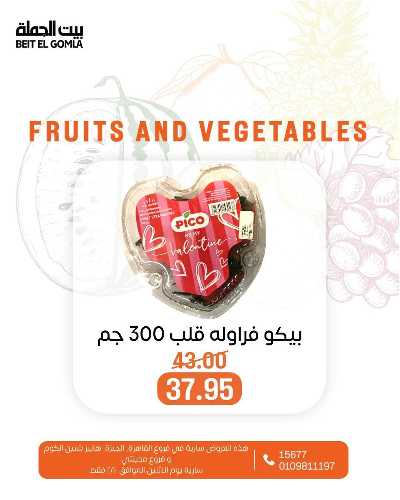 عروض الاثنين من بيت الجمله  12