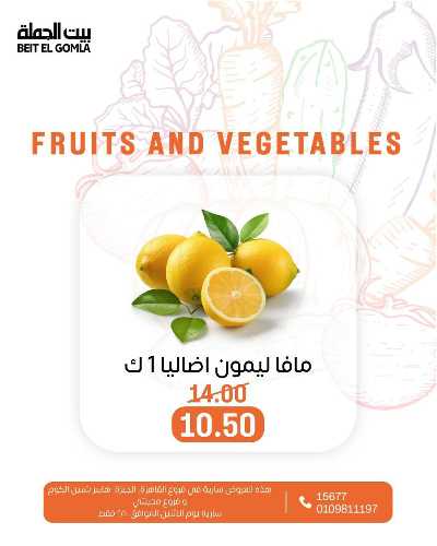 عروض الاثنين من بيت الجمله  13