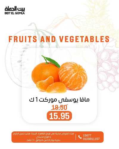 عروض الاثنين من بيت الجمله  14