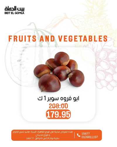 عروض الاثنين من بيت الجمله  15