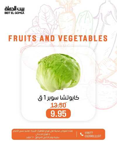 عروض الاثنين من بيت الجمله  16