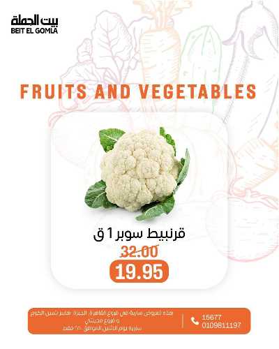 عروض الاثنين من بيت الجمله  17