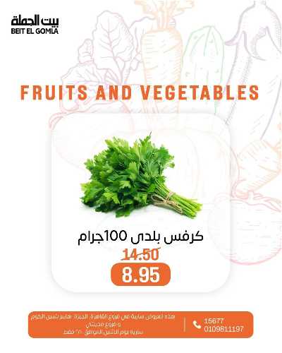 عروض الاثنين من بيت الجمله  18