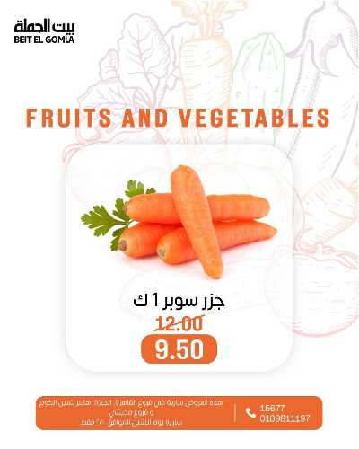عروض الاثنين من بيت الجمله  20