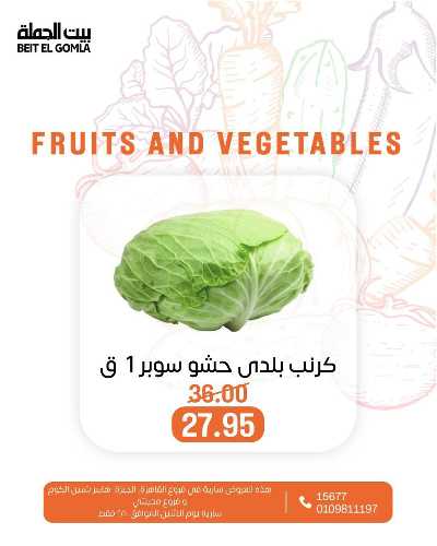 عروض الاثنين من بيت الجمله  22