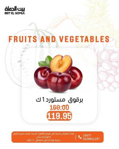 عروض الاثنين من بيت الجمله  3