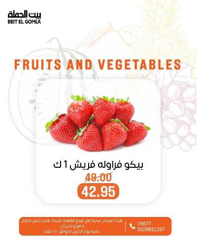 عروض الاثنين من بيت الجمله  4