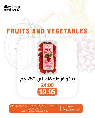 عروض الاثنين من بيت الجمله  6
