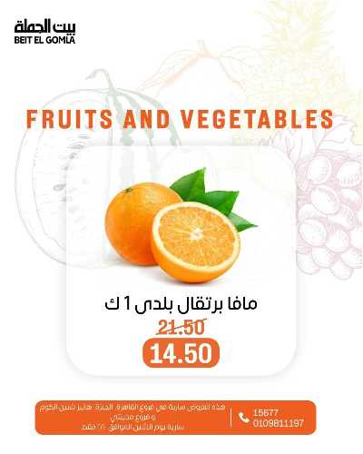 عروض الاثنين من بيت الجمله  7
