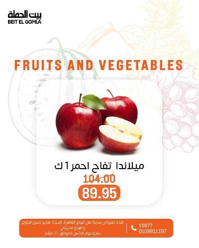 عروض الاثنين من بيت الجمله  9