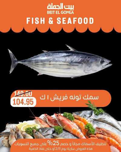 عروض الاسماك من بيت الجمله 12