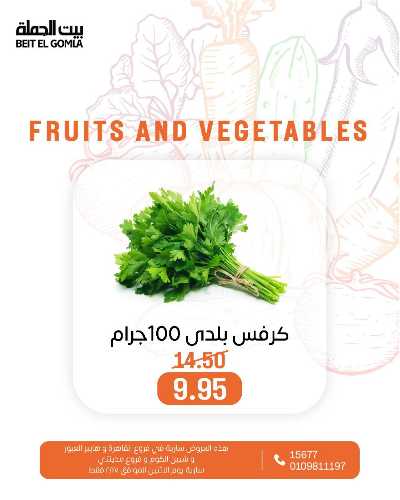 عروض الاثنين من بيت الجمله  - عدا فروع مدينتى 11