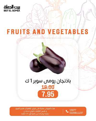 عروض الاثنين من بيت الجمله  - عدا فروع مدينتى 16