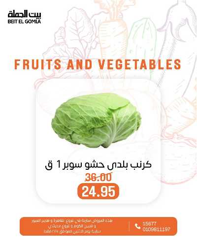 عروض الاثنين من بيت الجمله  - عدا فروع مدينتى 17