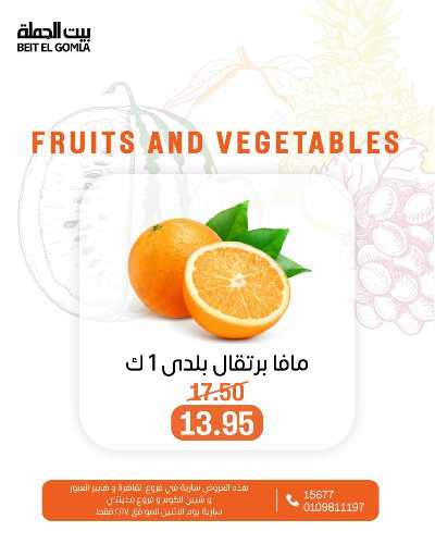 عروض الاثنين من بيت الجمله  - عدا فروع مدينتى 6