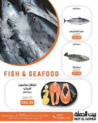 عروض الثلاثاء على الاسماك من بيت الجمله 2
